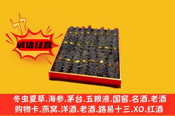 南平市光泽回收海参